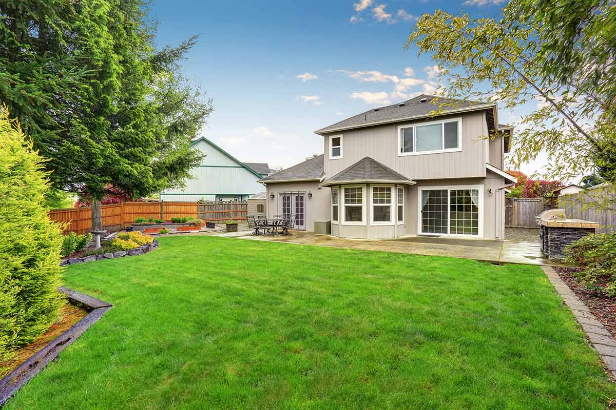 large lawn in backyard